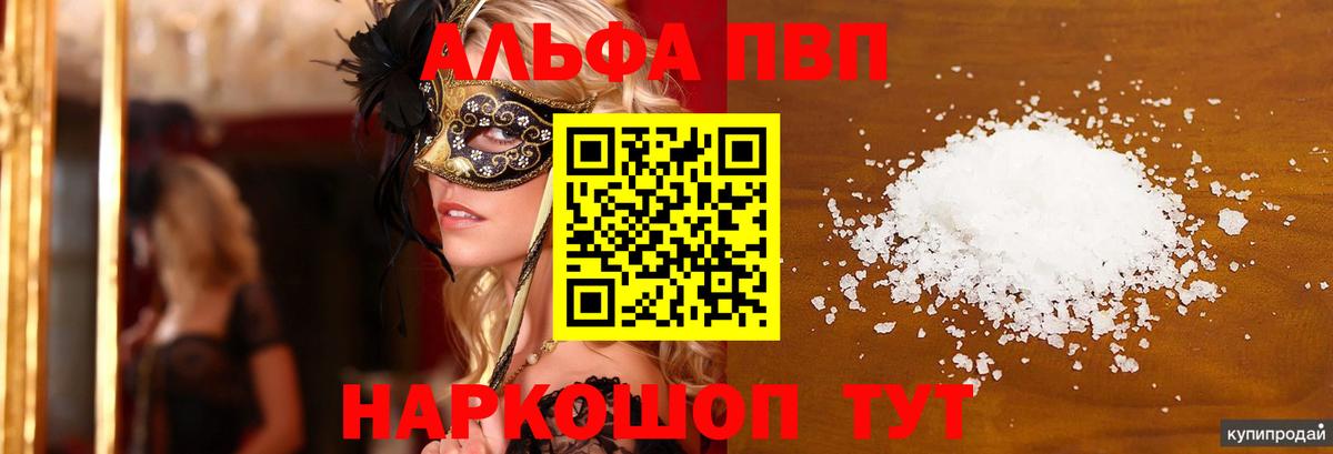 Альфа ПВП СК Заволжье