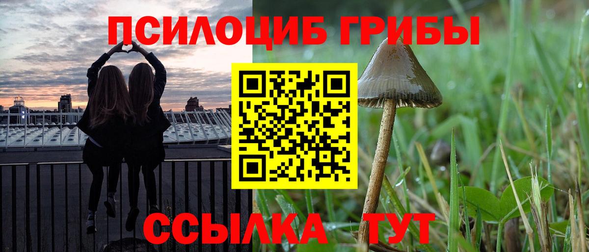 Заволжье  купить наркотики цена  Вход с VPN  Псилоцибиновые грибы GOLDEN TEACHER 